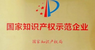 關(guān)于被認(rèn)定為 2023 年度國家知識(shí)產(chǎn)權(quán)示范企業(yè)的公告